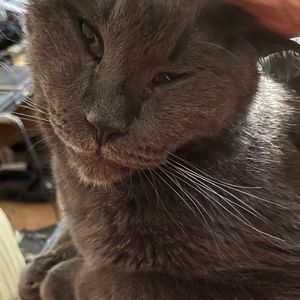 Meet your Posher, Paula